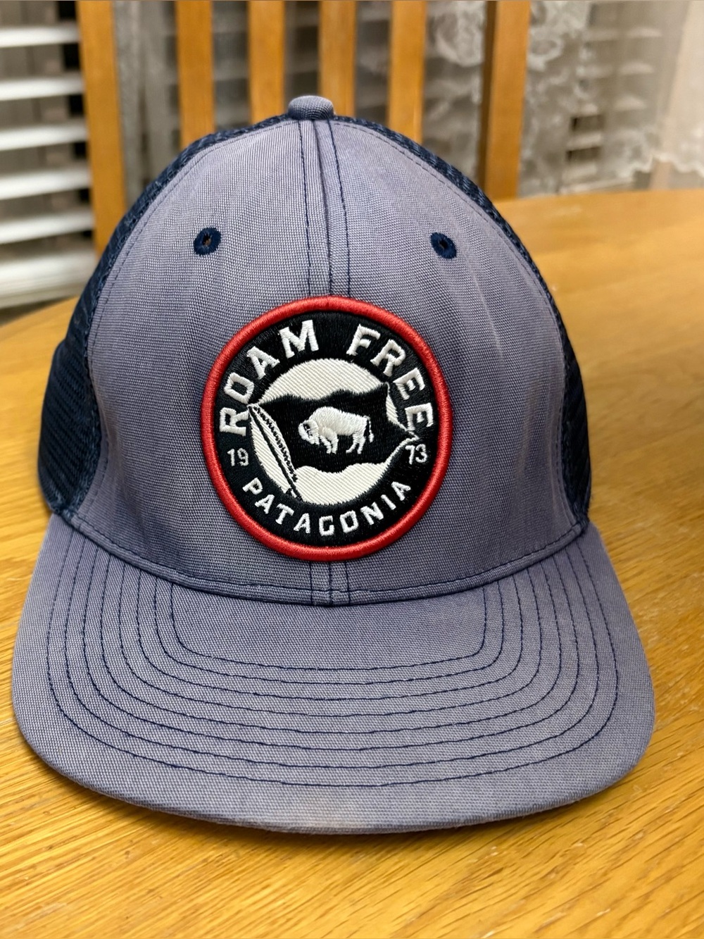 Patagonia “Roam Free” Bison Trucker Hat